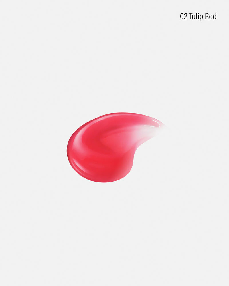 ROUGE DECORTÉ Tinted Lip Plumper